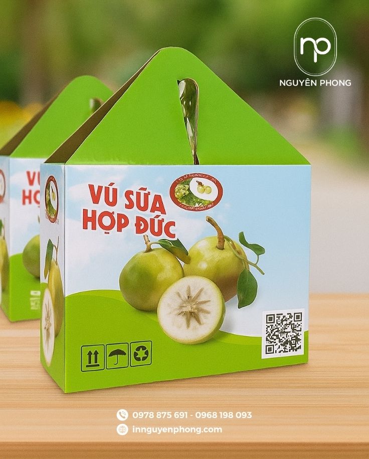 Mẫu thùng carton đựng vú sữa giúp nhận diện thương hiệu